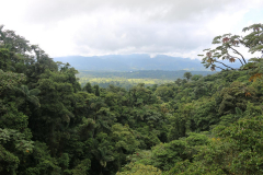 Green-Steps-Travel-Costa-Rica-Arenal-National-Park
