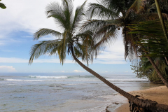 Green-Steps-Travel-Costa-Rica-Manzanillo