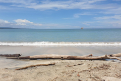 Green-Steps-Travel-Costa-Rica-Playa-Blanca