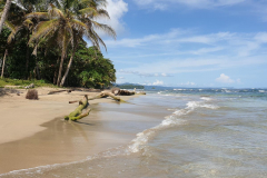 Green-Steps-Travel-Costa-Rica-Playa-Escondida