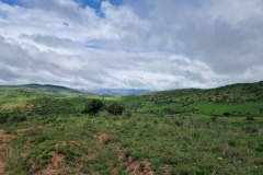 GreenSteps-travel-Borana-Kenia