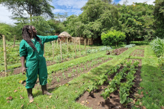 GreenSteps-Travel-Lewa-wilderness-ecotuin