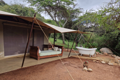GreenSteps-Travel-kenia-maasai-mara-cottars-kimboko