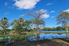 GreenSteps-Travel-Malawi-Liwonde-natuur