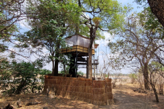 Green-Steps_Travel-Zambia-South-Luangwa-Shenton-elephant-hide