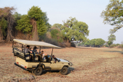 Green-Steps_Travel-Zambia-South-Luangwa-nationalpark