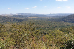 Green-Steps-Travel-hluhluwe-national-park