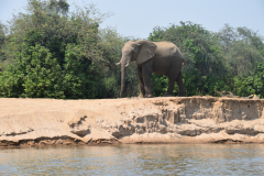 GreenSteps-Travel-Zambia-kanosafari-