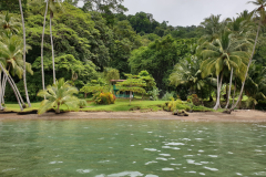 Costa-Rica-natuur-GreenSteps-Travel