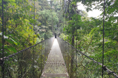 Costa-Rica-Arenal-National-Park-GreenSteps-Travel