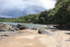 Costa-Rica-osa-penisula-GreenSteps-Travel