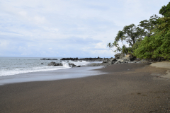 Costa-Rica-Osa-Penisula-Drake-Bay-GreenSteps-Travel