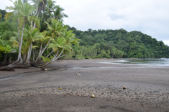 Costa-Rica-Golfo-Dulce-GreenSteps-Travel