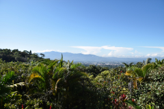 Costa-Rica-Alajuela-GreenSteps-Travel