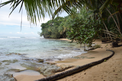 Costa Rica-Manzanillo-GreenSteps-Travel