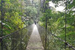 Costa-Rica-Arenal-hangbrug-GreenSteps-Travel
