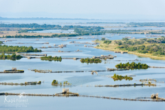 Isimangaliso Wetland Park (Greater St Lucia Wetland Park). KwaZulu Natal. South Africa
