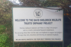 Kenia-SheldrickWildlifeTrust-GreenSteps-Travel