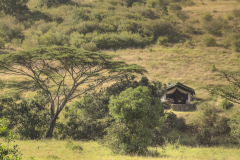 cottars-safari-services-Kicheche-Camp-tent