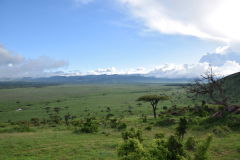 GreenSteps-Travel-Kenia-Lewa-Consevancy-safari