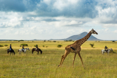 cottars-safari-services-Ol-DonyoChyulu-Hills