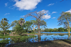 1_GreenSteps-Travel-Malawi-Liwonde-natuur