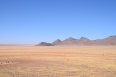 GreenSteps-Travel-Namibie-Damaraland-landschap