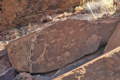 GreenSteps-Travel-Namibie-Twyfelfontein-Damaraland