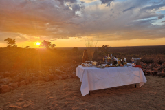 Green-Step-Travel-Namibie-Okonjima-sundowner
