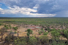 1_GreenStep-Travel-Namibie-Ongava-NP
