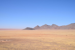GreenSteps-travel-Namibie-Damaraland-landschap