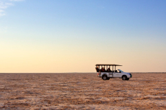 Namibie-Kalahari-woestijn