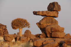 Namibie-Kalahari