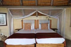 Green-Steps-Travel-Namibie-Ongava-Lodge