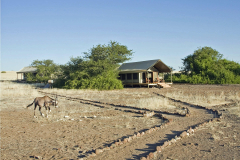Wilderness-Desert-Rhino-Camp-luxe-safari
