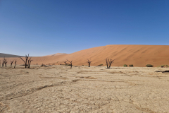Green-Steps-Travel-Deadvlei-Namibie