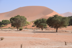 GreenSteps-Travel-Namibie-Sossusvlei