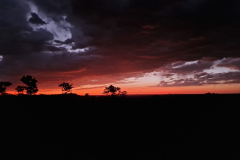 GreenSteps-Travel-Namibie-zonsondergang-Okonjima