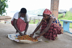 Rwanda-local-koffie-Green-Steps-Travel