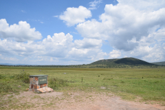 Rwanda-Akagera-GreenSteps-Travel