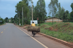 Rwanda-local-GreenSteps