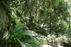 GreenSteps-Travel-Seychellen-mahe-hiken