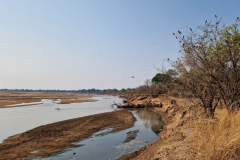 GreenSteps-Zambia-safari-South-Luangwa-rivier