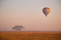 Zambia-ZGH-Ballonvaart-Busanga-Plains