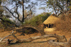 Zambia-Chikoko-Camp-chalet-