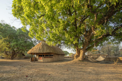 Zambia-Tafika-Camp1