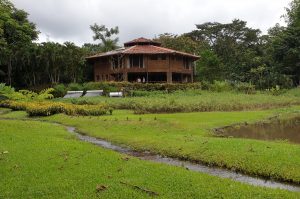 GreenSteps-Travel-Costa-Rica-Macaw-lodge