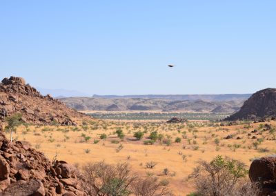 GreenSteps-Travel-Namibie-Damaraland
