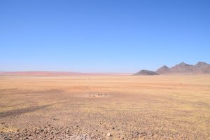 GreenSteps-Travel-Namibië-landschap-vergezicht