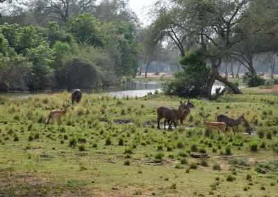 GreenSteps-Travel-Zambia-safari-Landschap